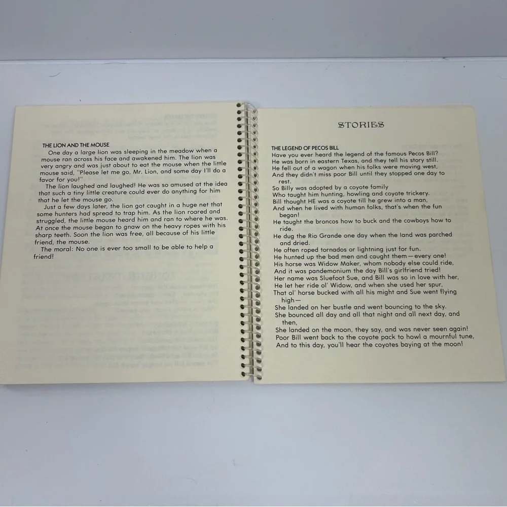 Vintage Hallmark 1972 Dear Babysitter book notebook instructions by Betsey Clark